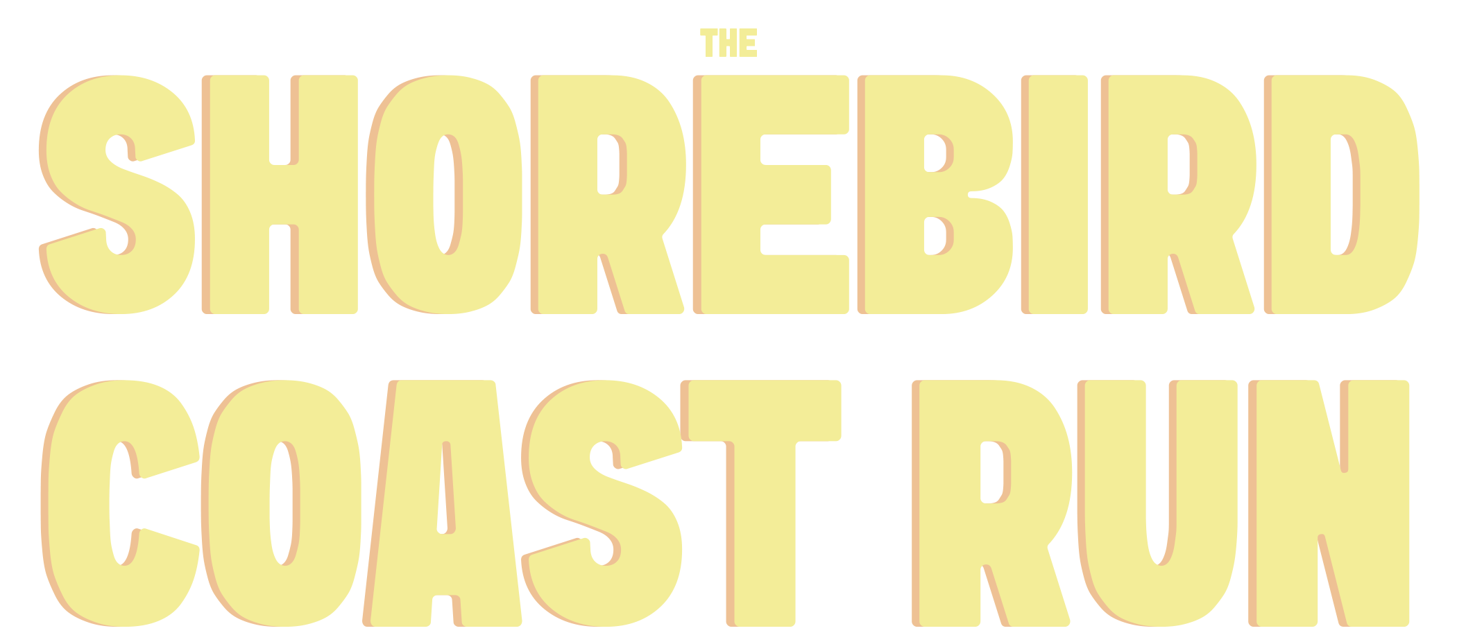 Shorebird Coast Run